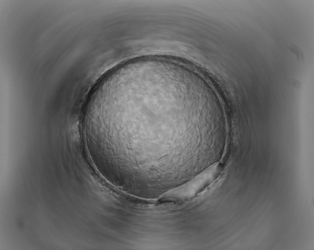 X0000111231497200907301235