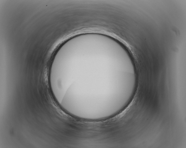 X0000111231498200907301235