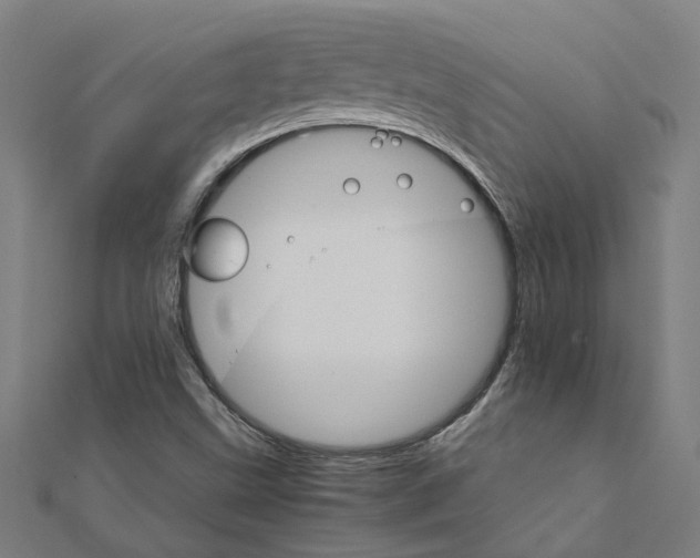 X0000111231499200907301235