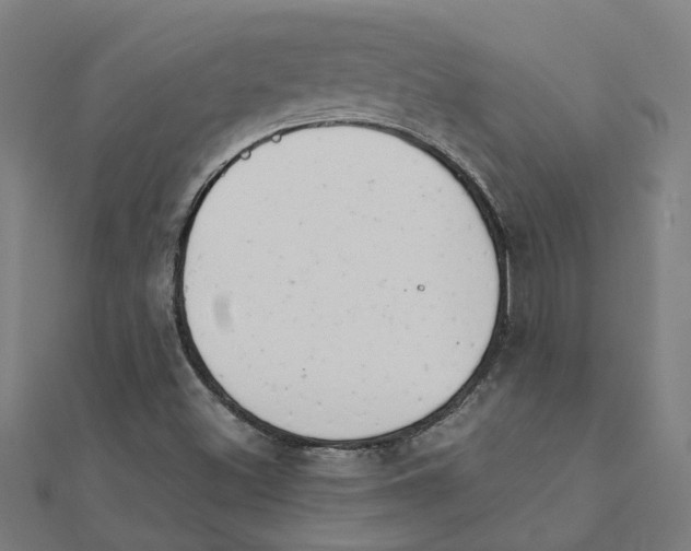 X0000111231500200907301235