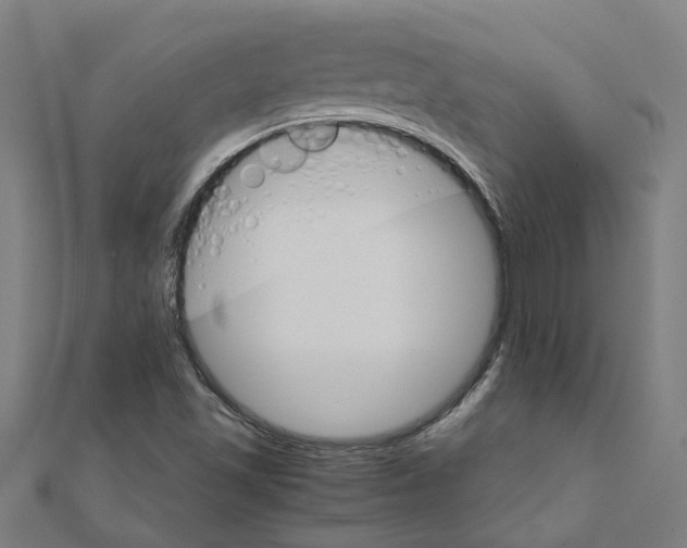 X0000111231501200907301235