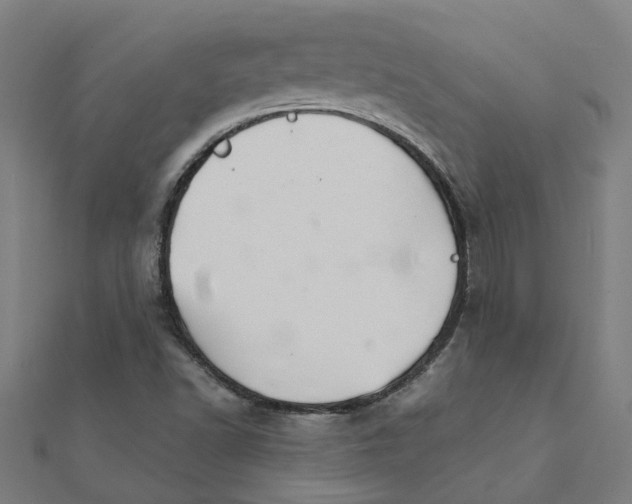 X0000111231502200907301235