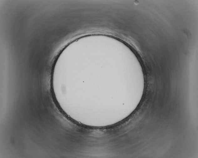 X0000111231504200907301235