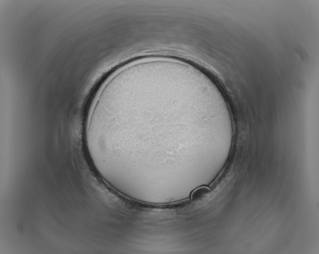 X0000111231506200907301235