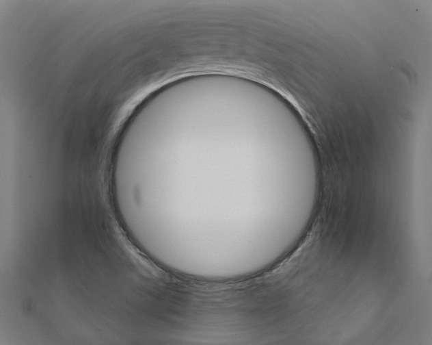 X0000111231507200907301235