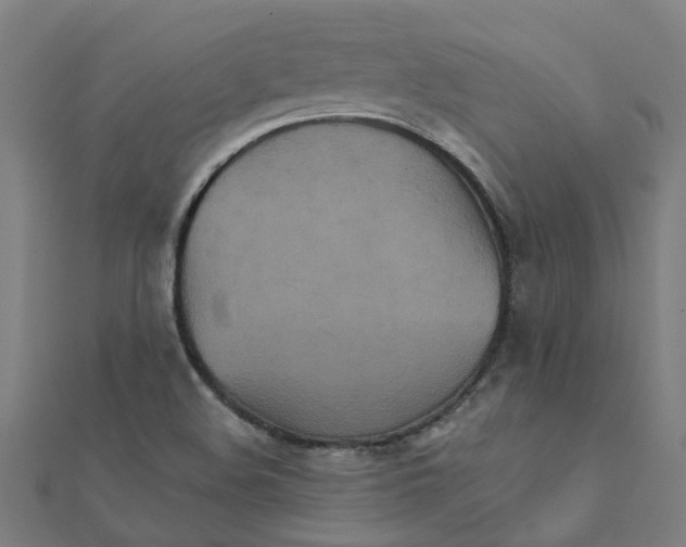 X0000111231508200907301236