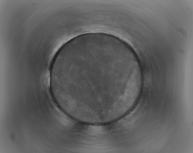 X0000111231509200907301236