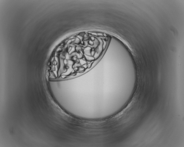 X0000111231510200907301236