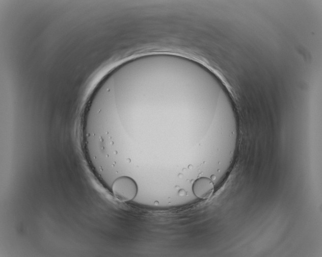 X0000111231511200907301236