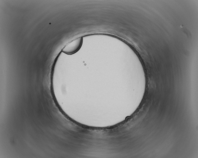 X0000111231512200907301236