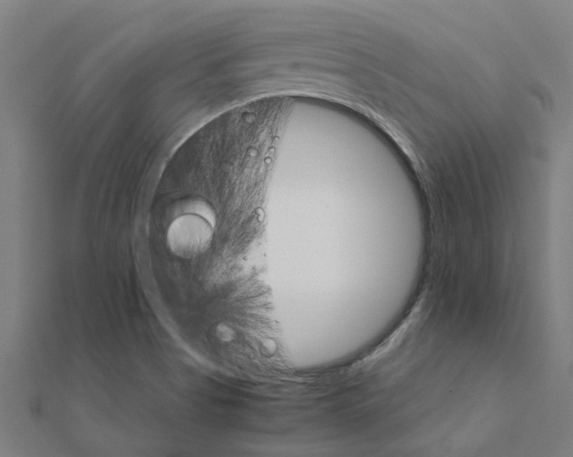 X0000111231513200907301236