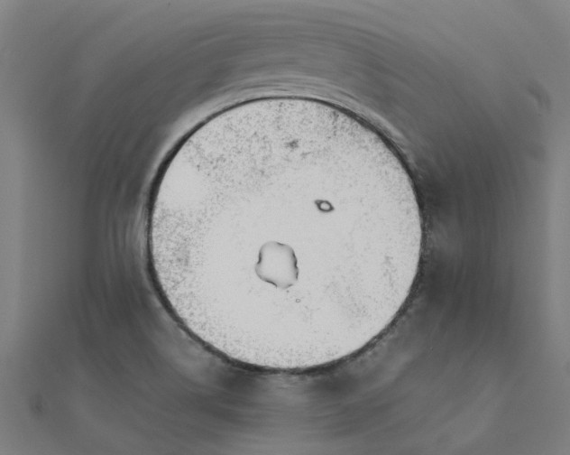 X0000111231514200907301236