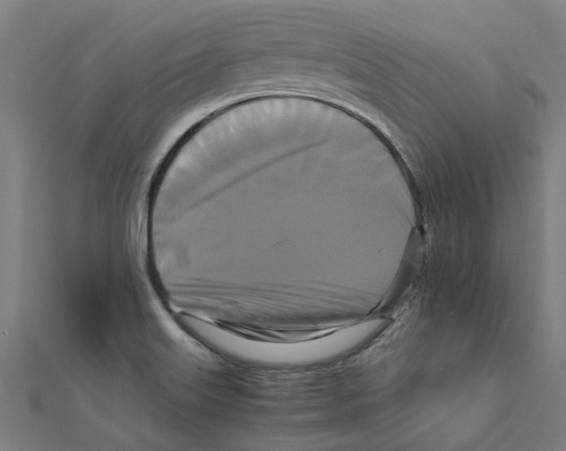 X0000111231515200907301236