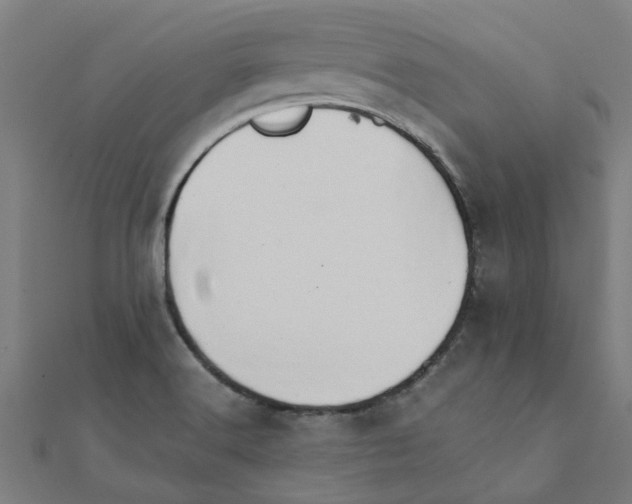 X0000111231516200907301236