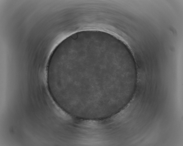 X0000111231517200907301236