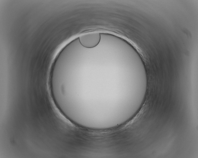 X0000111231518200907301236