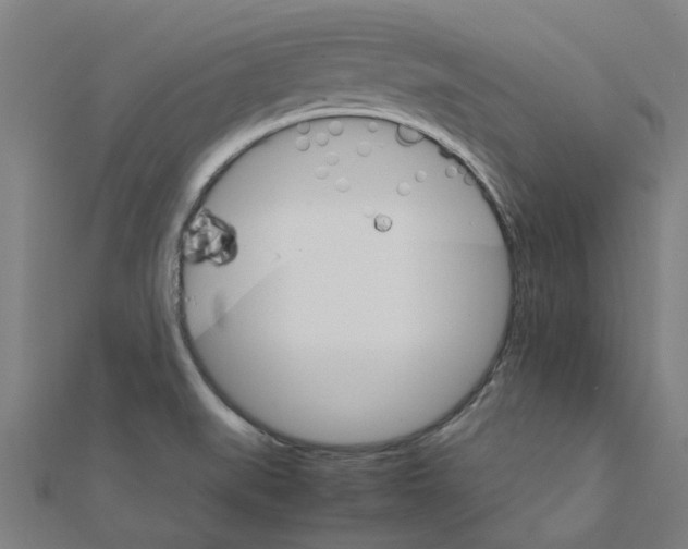 X0000111231519200907301236