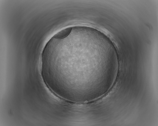 X0000111231520200907301236