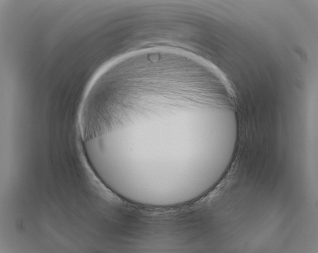 X0000111231522200907301236