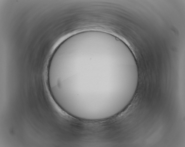 X0000111231523200907301236