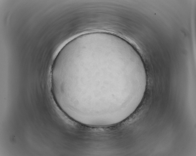 X0000111231524200907301236