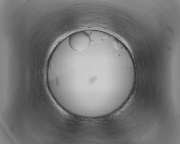 X0000111231525200907301236