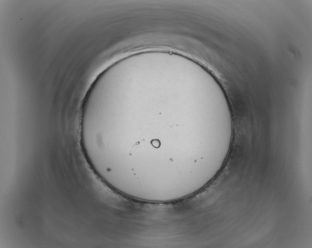 X0000111231526200907301236