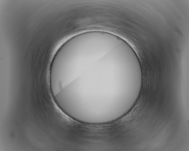 X0000111231527200907301236