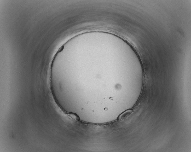 X0000111231528200907301236