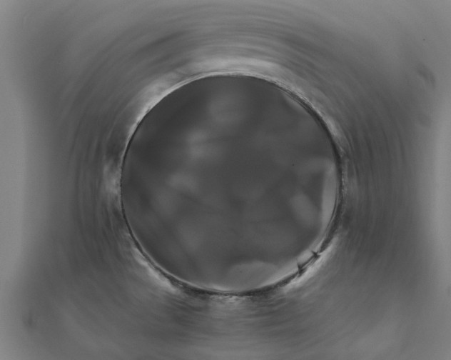 X0000111231529200907301236