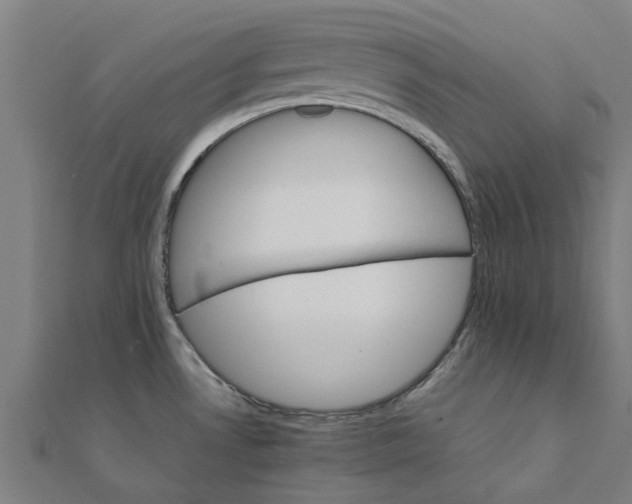 X0000111231530200907301236