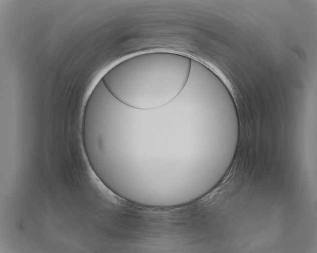 X0000111231532200907301236