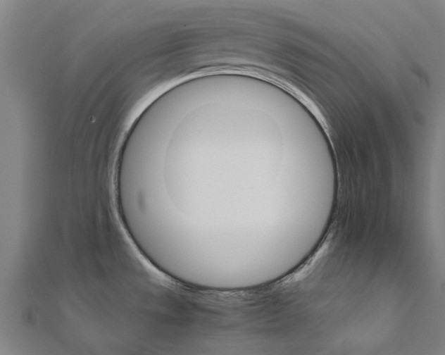 X0000111231533200907301236