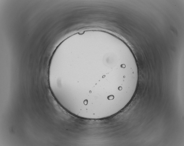 X0000111231534200907301236