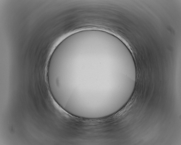 X0000111231535200907301236