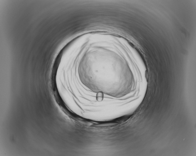 X0000111231536200907301236