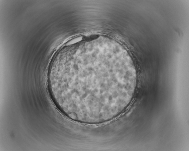 X0000111230002200908131132