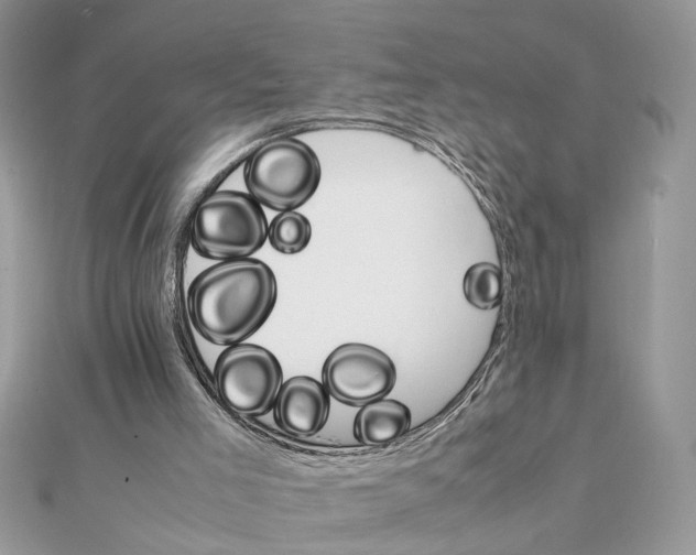 X0000111230005200908131132