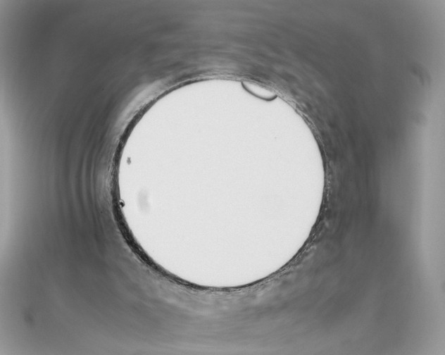X0000111230007200908131132