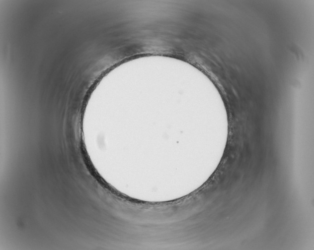 X0000111230011200908131132