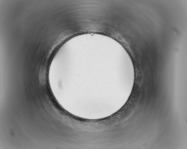 X0000111230012200908131132
