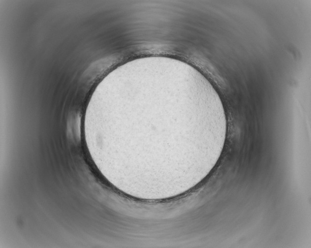 X0000111230014200908131132