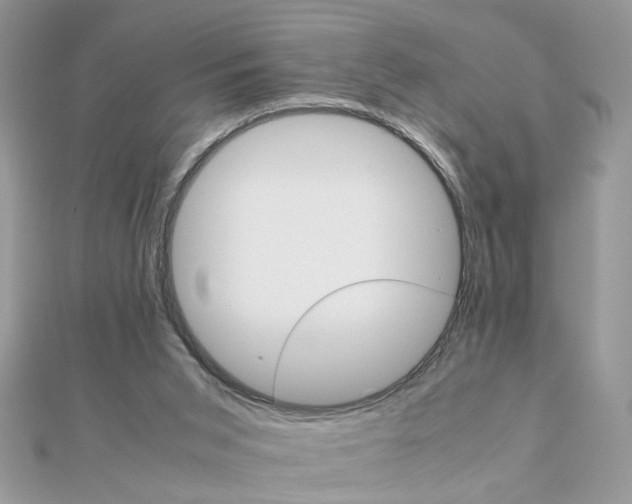 X0000111230015200908131132