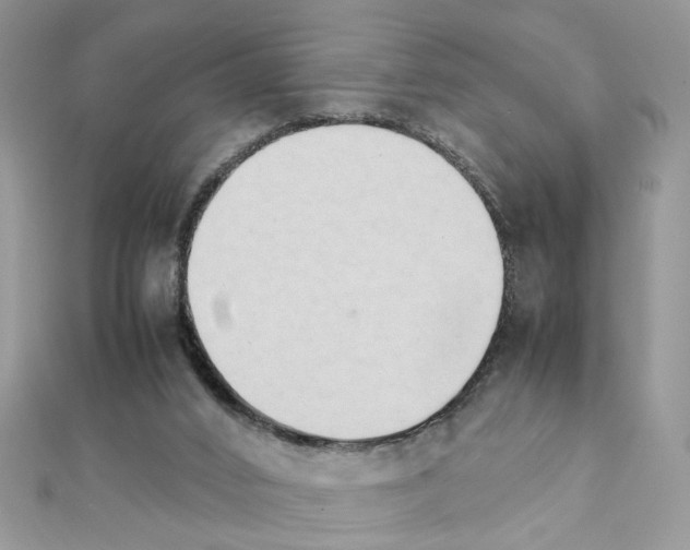 X0000111230016200908131132