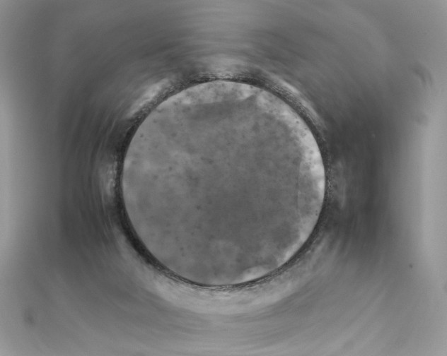 X0000111230018200908131132