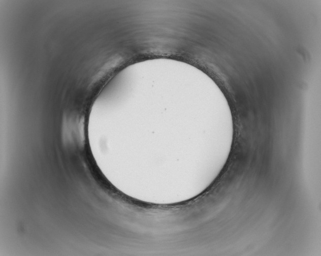 X0000111230020200908131132