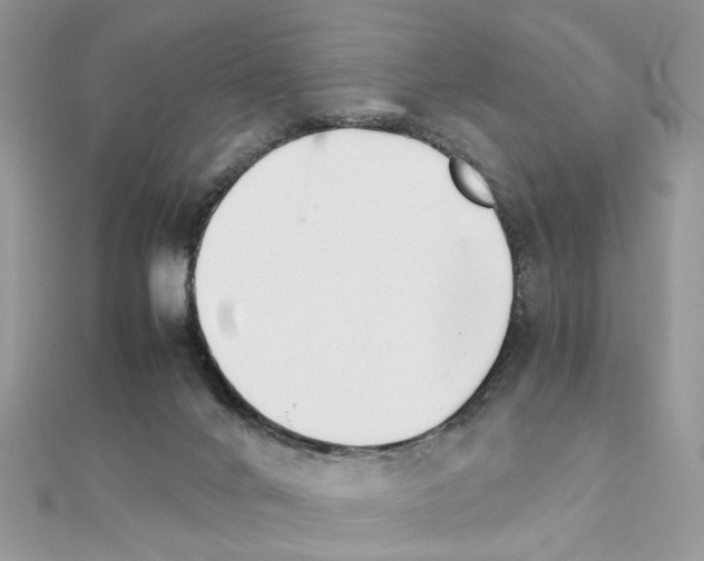 X0000111230024200908131132