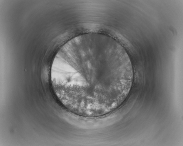 X0000111230026200908131132