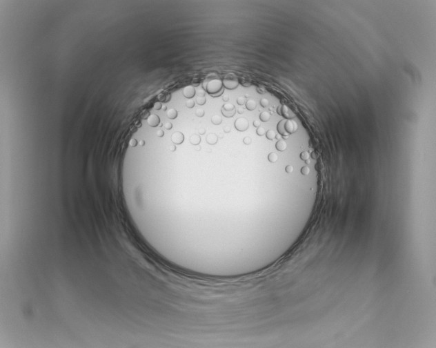 X0000111230028200908131132