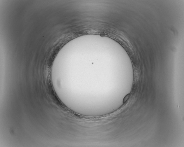 X0000111230029200908131132